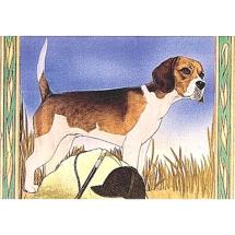 Carte Postale Beagle N° 2