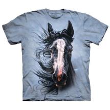 T-Shirt Cheval - Storm Chaser