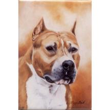 Magnet American Staffordshire Terrier