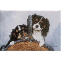 Magnet Cavalier King Charles Chiots