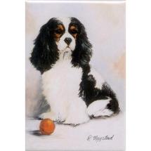 Magnet Cavalier King Charles Tricolore