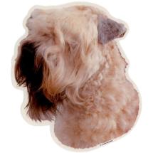Autocollant Soft Coated Wheaten Terrier Tête 1