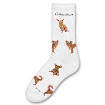 Chaussettes Chihuahua N° 3
