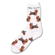 Chaussettes Silky Terrier
