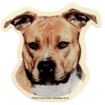Autocollant American Staffordshire Terrier N°3