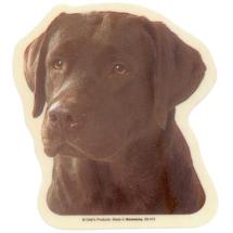 Autocollant Labrador Chocolat