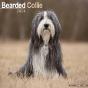 Calendrier Bearded Collie 2024