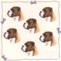 Mini Stickers Boxer Oreilles Longues
