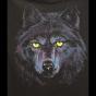 T-Shirt Loup - Night Wolf